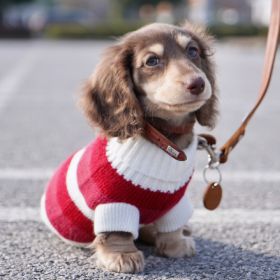 Sausage Dog Clothes Small Dog Cat Warm Thickened Sweater (Option: Red And White Striped Sweater-M L)